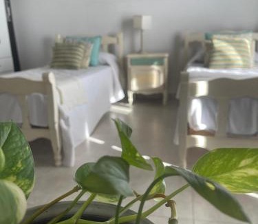 Lincoln Apartment | De Paso