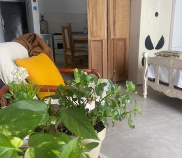Lincoln Apartment | De Paso