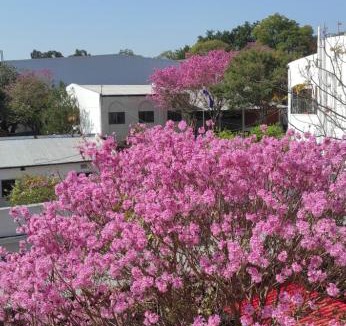 Asuncion Apartment | Departamento amoblado en Asunción - Paraguay