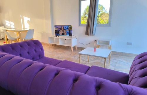 Leandro N. Alem Apartment | Departamentos Boiko