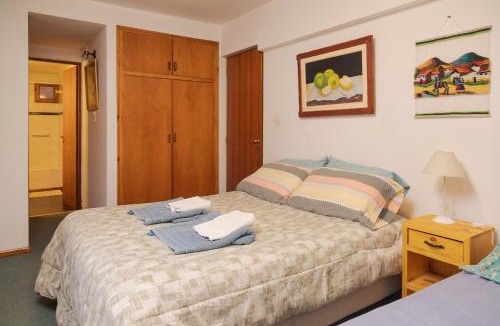 Lanin National Park Apartment | Depto Céntrico Luminoso