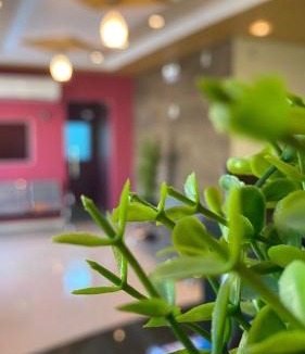 Parauapebas Hotel | Domus Hotel Rio Verde - Parauapebas
