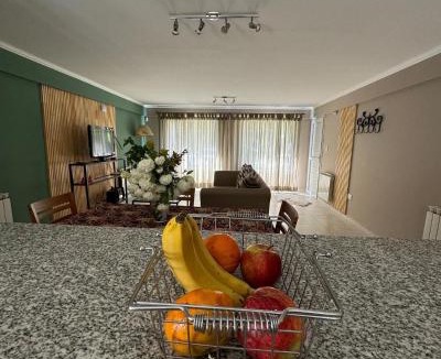 El Bolson Apartment | Dpto, 4 Estaciones I