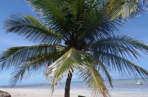 Maceio Villa | Dream house on tropical beach: nature, sun, peace