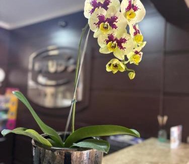 Vila Messias Hotel | Druds Hotel