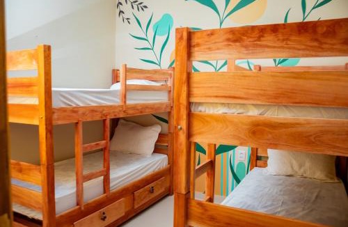 Castanhal Hotel | Eco Hotel Mãe De Sagui
