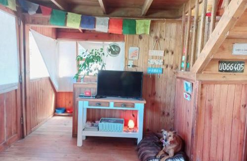 Puerto Piramides Ski Chalet | El Canto de la Ballena Bungalow La Paz