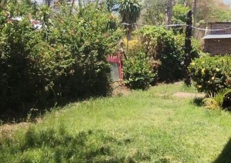 Balgue House | El Güis hostel