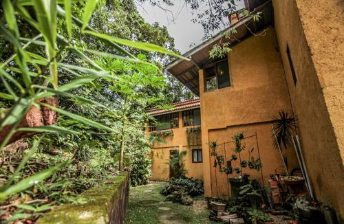 Florianopolis Apartment | Entre a Lagoa e o Mar