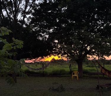 Sidrolandia Other | Estância 2 Irmãos