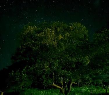 Sidrolandia Other | Estância 2 Irmãos