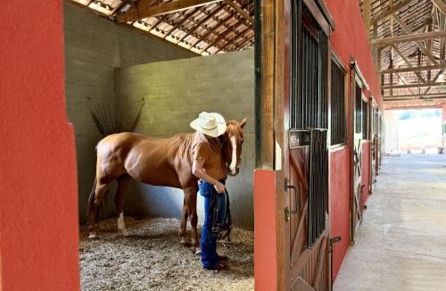 Carmo de Minas Hotel | Experiência em celeiro com cavalos á porta