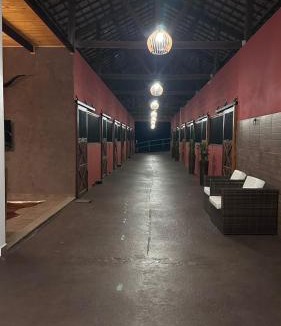 Carmo de Minas Hotel | Experiência em celeiro com cavalos á porta