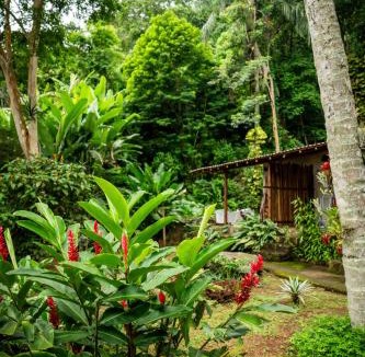Bananal House | Fauna