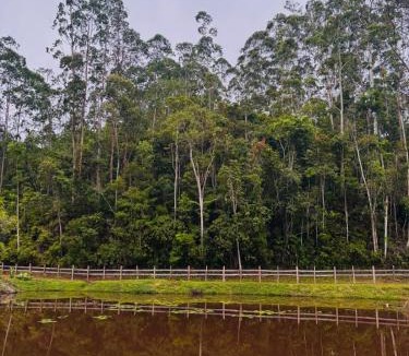 Santos Dumont House | Fazenda Vila Quintão - Casa-sede Recanto das Araucárias