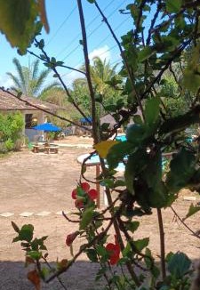 Pipa Apartment | Flat Village Paraíso da Lua