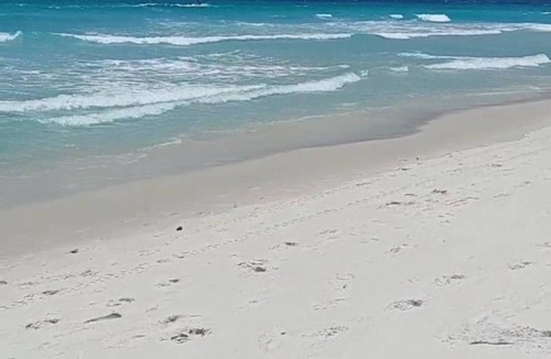 Foguete RV Rental | Flats Paraíso Paradisíaco - Apartment with Sea View 3