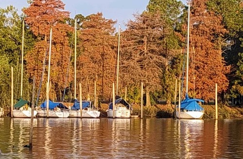 San Fernando Boat Rental | Floating Paradise. Houseboat in the middle of nature and river