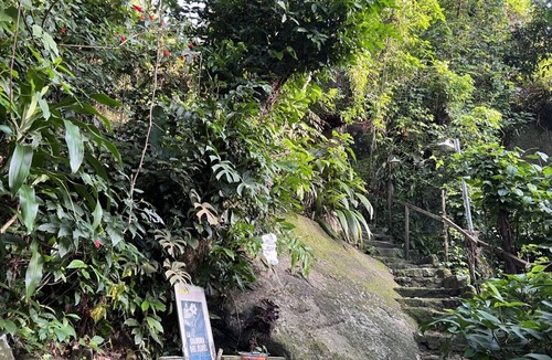 Vidigal Condo | Forest home - enjoy peace & nature, near the beach