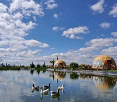 Rama Caida Other | glamping en el viñedo