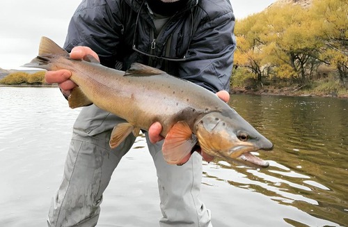 Junin de los Andes Ski Chalet | Great Views Fly Fishing Cabin Chimehuín Patagonia