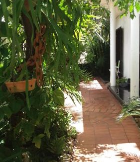 Mata da Praia House | Guesthouse Mata da Praia