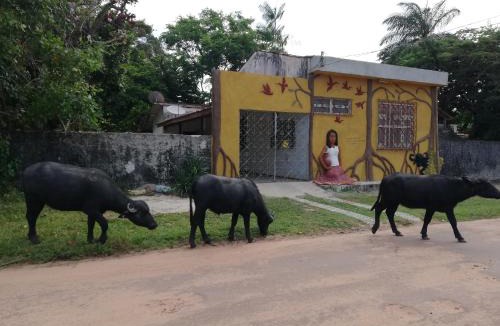 Soure Hostel | Habitat Marajó Hostel e Turismo