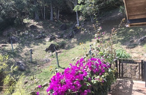 Sambaqui House | Home View: A paradise just steps from the beach
