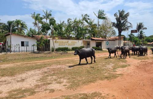 Soure House | Hospedagem e queijaria Péua