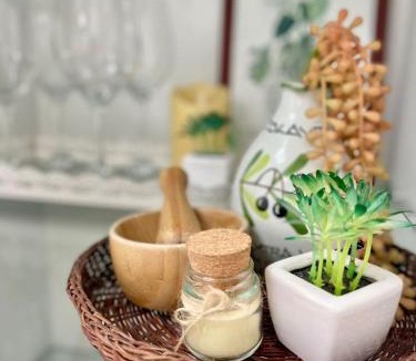 Centro Apartment | Hospedagem Terraço Naturale