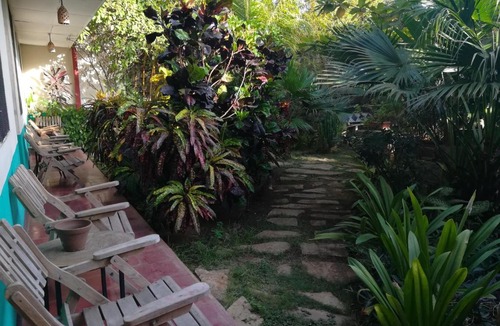Leon Hotel | Hostal Harvest House
