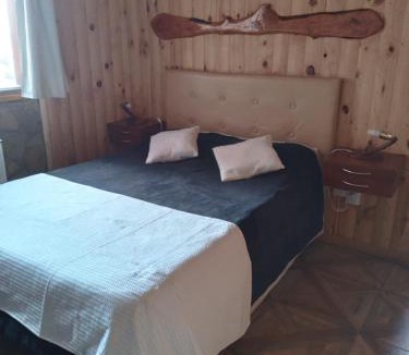 Villa Pehuenia Hostel | Hostel Andino