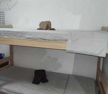 Samambaia Hostel | Hostel da Rô