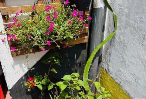 Maracangalha Hostel | Hostel das Flores
