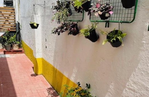 Maracangalha Hostel | Hostel das Flores