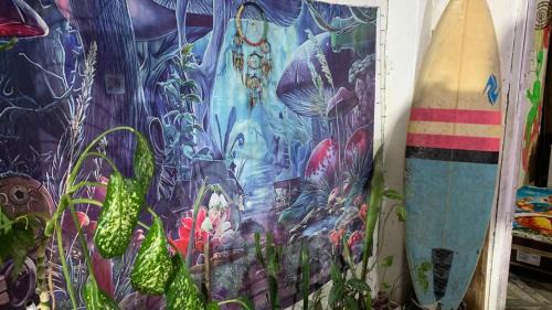 Silop Hostel | Hostel do Rasta