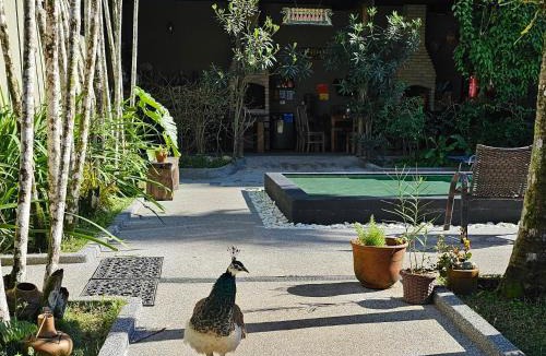 Juquehy Hostel | Hostel Jai Juquehy