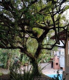 Bom Retiro House | Hostel Morro do Finder