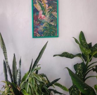 Sao Bras Hostel | Hostel Residence Girassol