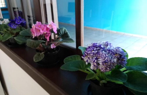 Pomerode Hostel | Hostel Villa Pomerânia