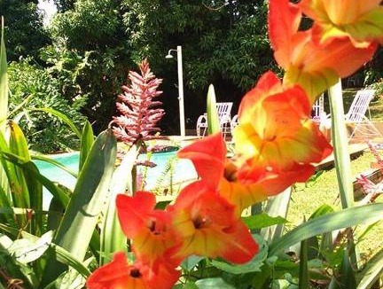 Puerto Iguazu Hotel | Hostel y Posada Colibri