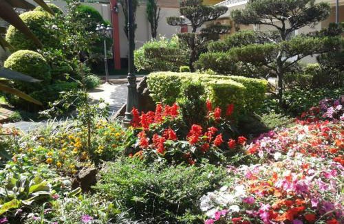 Encarnacion Hotel | Hotel Arthur Shambala