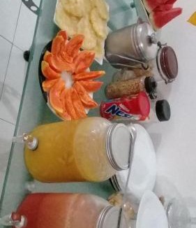 Santarem Hotel | hotel encontro das aguas