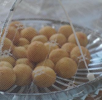 Urucui Hotel | Hotel Premium Uruçuí