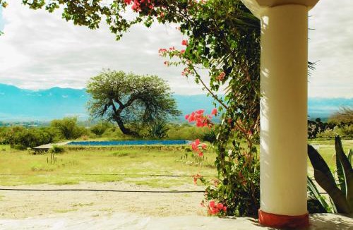 Cafayate Bed & Breakfast | Hotel Texas
