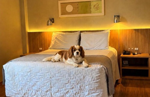 Kobrasol Hotel | Hotel Werlich