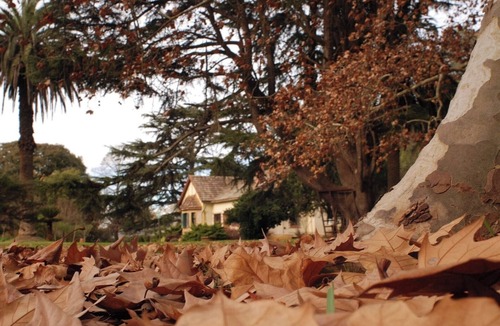 Partido de Chascomus House | House in Estancia - Perfect for groups