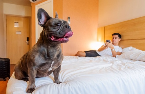 Auxiliadora Hotel | ibis Porto Alegre Moinhos de Vento