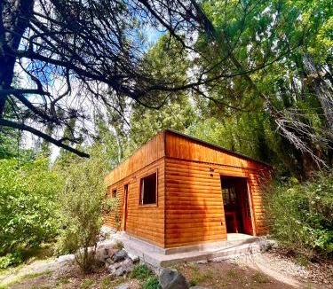 Salto Apartment | Increíble cabaña de montaña