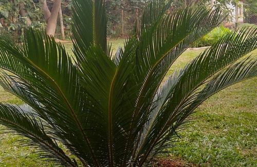 Jaboticatubas House | Jacarandá Chalés em SÃO José DA Serra MG